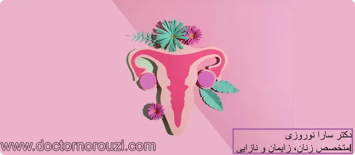 مراقبت بعد از واژینوپلاسی