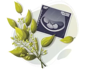 بارداری و هیستروسکوپی