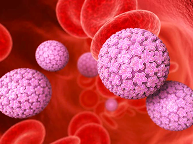 علل بروز زگیل تناسلی